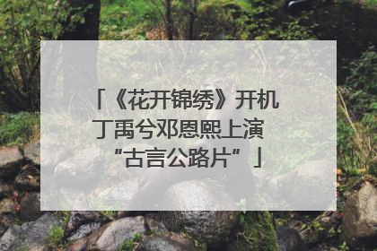 《花开锦绣》开机 丁禹兮邓恩熙上演“古言公路片”