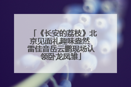 《长安的荔枝》北京见面礼趣味盎然 雷佳音岳云鹏现场认领卧龙凤雏