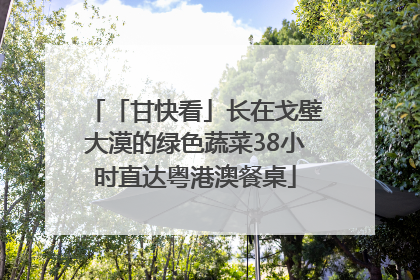 「甘快看」长在戈壁大漠的绿色蔬菜38小时直达粤港澳餐桌