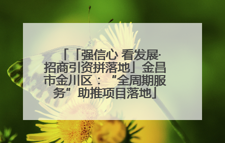 「强信心 看发展·招商引资拼落地」金昌市金川区：“全周期服务”助推项目落地