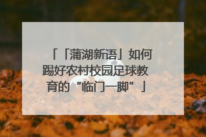 「蒲湖新语」如何踢好农村校园足球教育的“临门一脚”