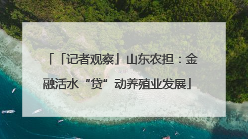 「记者观察」山东农担：金融活水“贷”动养殖业发展