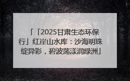 「2025甘肃生态环保行」红崖山水库：沙海明珠绽异彩，碧波荡漾润绿洲