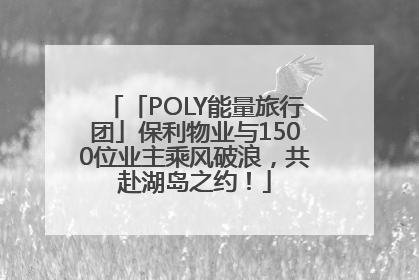 「POLY能量旅行团」保利物业与1500位业主乘风破浪，共赴湖岛之约！