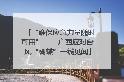 “确保应急力量随时可用”——广西应对台风“蝴蝶”一线见闻
