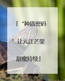 “种质密码”让元江芒果甜蜜持续