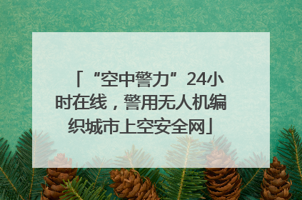 “空中警力”24小时在线，警用无人机编织城市上空安全网