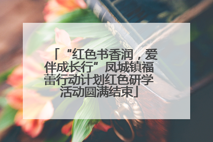 “红色书香润，爱伴成长行”凤城镇福蕾行动计划红色研学活动圆满结束