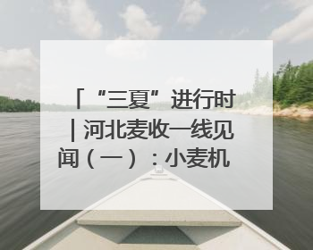 “三夏”进行时｜河北麦收一线见闻（一）：小麦机收减损“竞技” 农机高手麦田“过招”