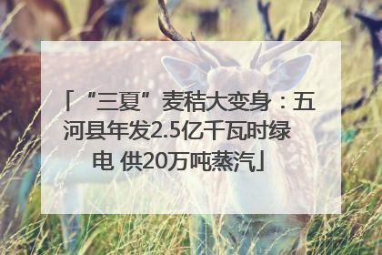 “三夏”麦秸大变身：五河县年发2.5亿千瓦时绿电 供20万吨蒸汽
