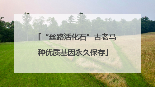 “丝路活化石”古老马种优质基因永久保存