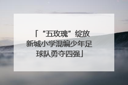 “五玫瑰”绽放 新城小学混编少年足球队勇夺四强