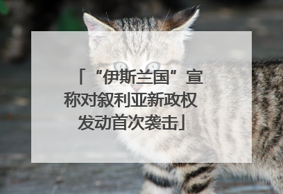 “伊斯兰国”宣称对叙利亚新政权发动首次袭击