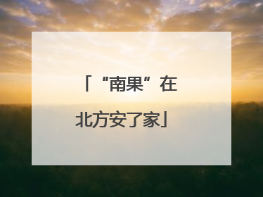 “南果”在北方安了家
