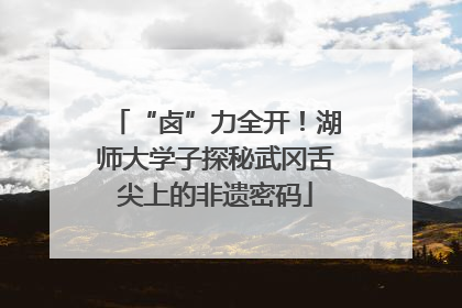 “卤”力全开！湖师大学子探秘武冈舌尖上的非遗密码