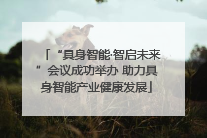 “具身智能·智启未来”会议成功举办 助力具身智能产业健康发展