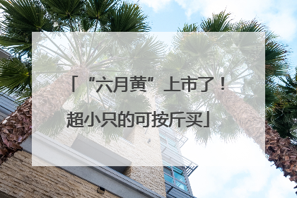 “六月黄”上市了！超小只的可按斤买
