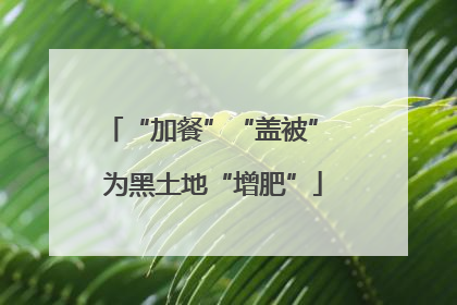“加餐”“盖被” 为黑土地“增肥”
