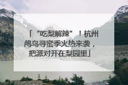 “吃梨解辣”！杭州鸬鸟寻蜜季火热来袭，把派对开在梨园里