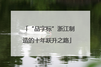 “品字标”浙江制造的十年跃升之路