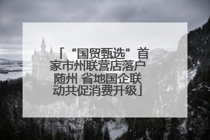 “国贸甄选”首家市州联营店落户随州 省地国企联动共促消费升级