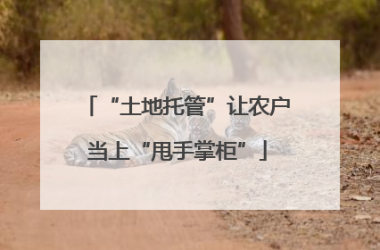“土地托管”让农户当上“甩手掌柜”