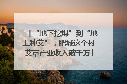 “地下挖煤”到“地上种艾”，肥城这个村艾草产业收入破千万