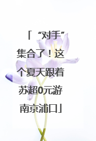 “对手”集合了！这个夏天跟着苏超0元游南京浦口