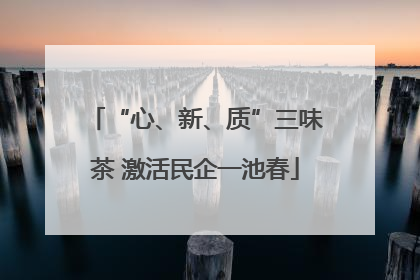 “心、新、质”三味茶 激活民企一池春