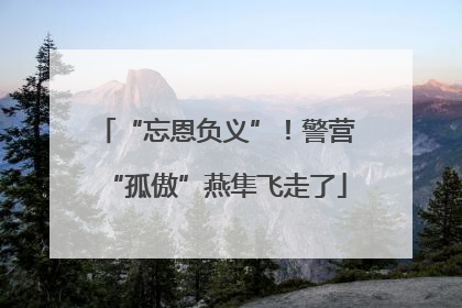 “忘恩负义”！警营“孤傲”燕隼飞走了