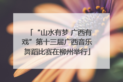 “山水有梦 广西有戏”第十三届广西音乐舞蹈比赛在柳州举行