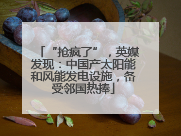 “抢疯了”，英媒发现：中国产太阳能和风能发电设施，备受邻国热捧