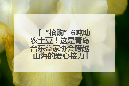 “抢购”6吨助农土豆！这是青岛台东益家协会跨越山海的爱心接力