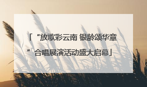 “放歌彩云南 银龄颂华章”合唱展演活动盛大启幕