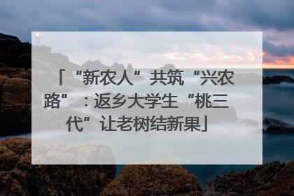 “新农人”共筑“兴农路”：返乡大学生“桃三代”让老树结新果