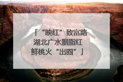 “映红”致富路 湖北广水胭脂红鲜桃火“出圈”