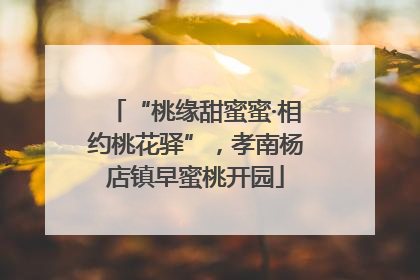“桃缘甜蜜蜜·相约桃花驿”，孝南杨店镇早蜜桃开园