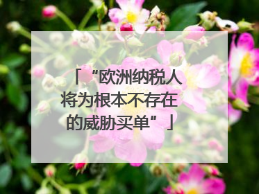 “欧洲纳税人将为根本不存在的威胁买单”