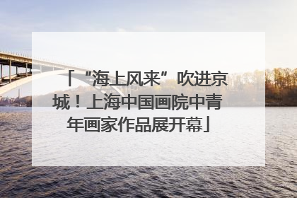 “海上风来”吹进京城！上海中国画院中青年画家作品展开幕