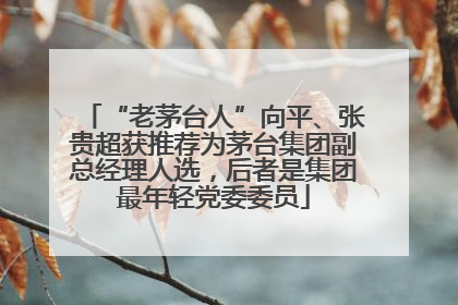 “老茅台人”向平、张贵超获推荐为茅台集团副总经理人选，后者是集团最年轻党委委员