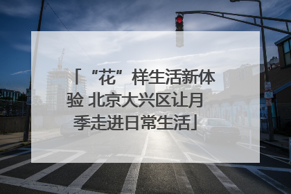 “花”样生活新体验 北京大兴区让月季走进日常生活