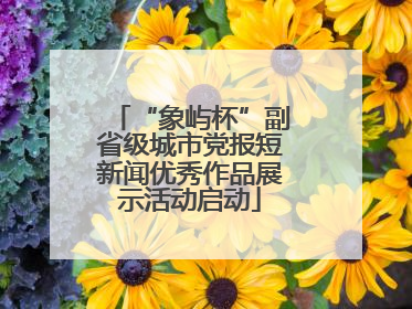 “象屿杯”副省级城市党报短新闻优秀作品展示活动启动
