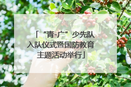 “青-广”少先队入队仪式暨国防教育主题活动举行