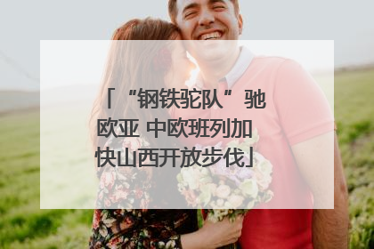 “钢铁驼队”驰欧亚 中欧班列加快山西开放步伐