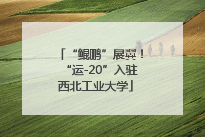 “鲲鹏”展翼！“运-20”入驻西北工业大学