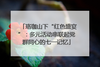 珞珈山下“红色盛宴”：多元活动串联起党群同心的七一记忆