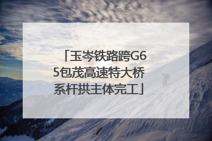 玉岑铁路跨G65包茂高速特大桥系杆拱主体完工