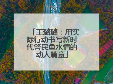 王璐璐：用实际行动书写新时代警民鱼水情的动人篇章