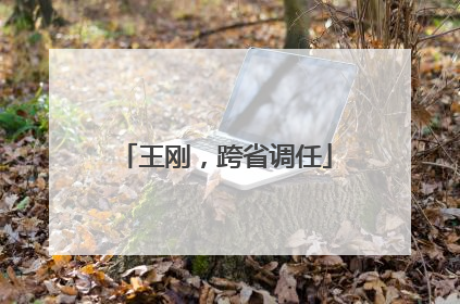 王刚，跨省调任