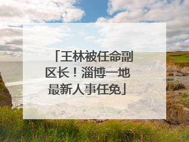 王林被任命副区长！淄博一地最新人事任免
